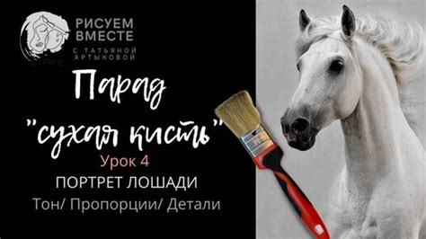 Рисование основных элементов лошади