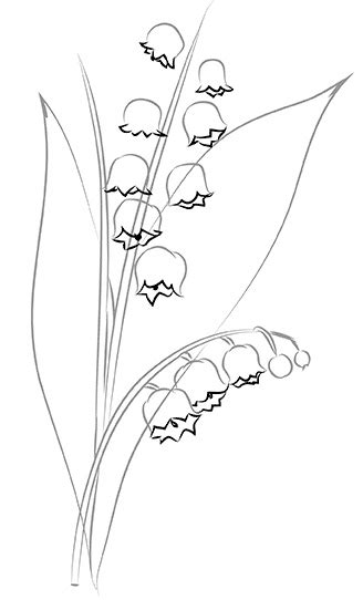 Рисование стебля и листьев ландыша