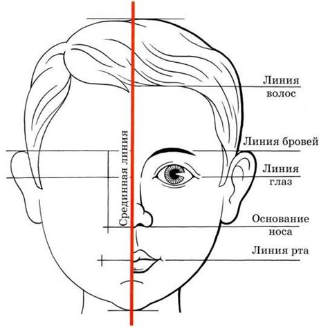 Рисуем голову и уши