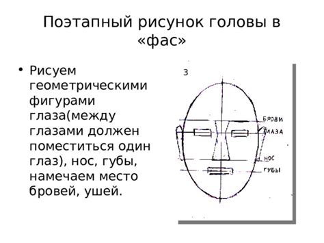 Рисуем контуры головы и ушей