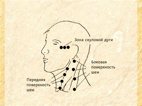 Рисуйте уши и шею