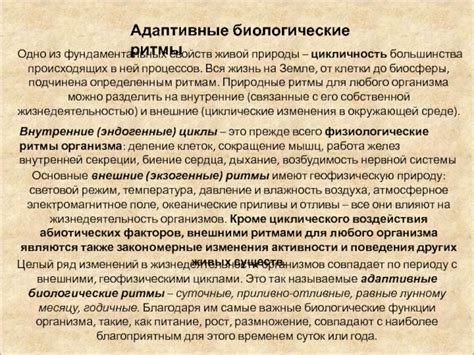 Ритм природы: древние циклы и биологические потребности