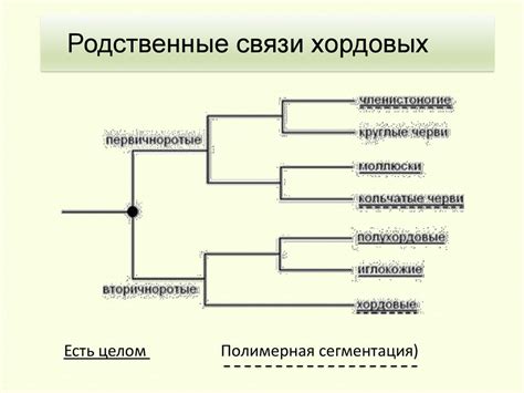 Родственные связи и происхождение