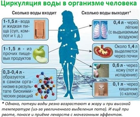 Ролевая гидратация для баланса воды в организме