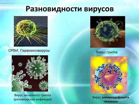 Ролевые связи вирусов в биологии