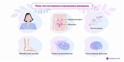 Роли гормона тестостерона в появлении выпадения волос при поликистозе яичников