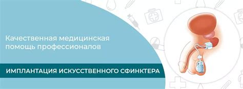 Роли сфинктера в функционировании мочевого пузыря