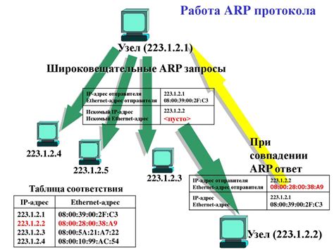 Роли ARP протокола в сетях