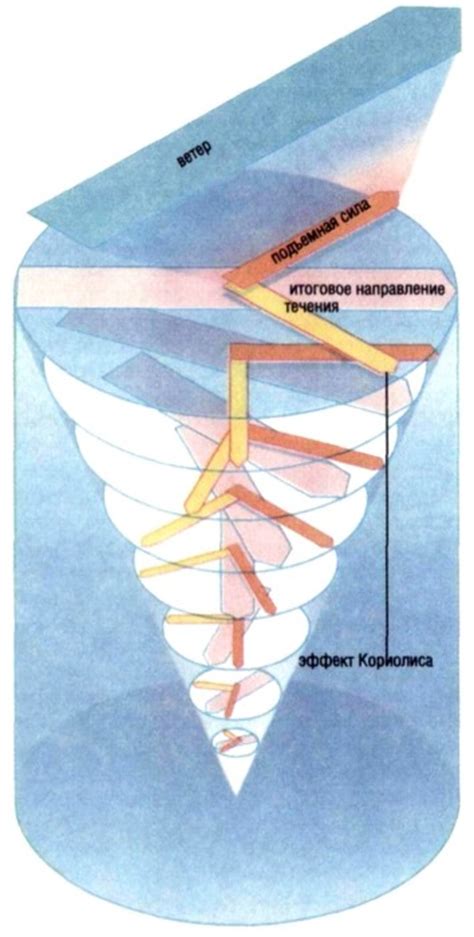 Роль Кориолисова эффекта