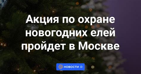 Роль Мирового суда в охране новогодних праздников