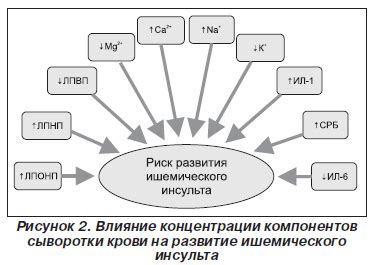 Роль активных компонентов