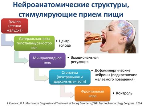 Роль ацетиловой кислоты в регуляции пищевого поведения