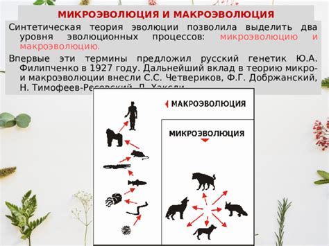 Роль биологических и эволюционных процессов