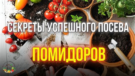 Роль влаги для успешного бака посева