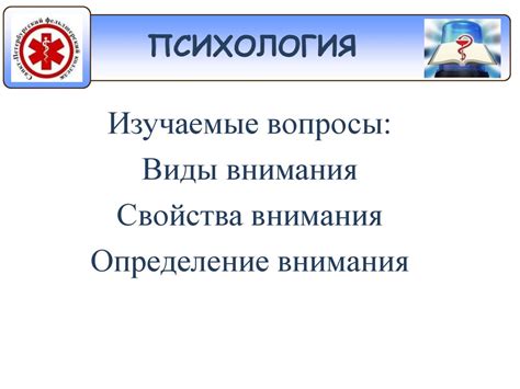 Роль внимания в психических процессах