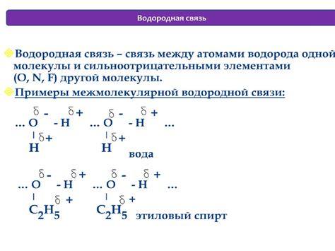 Роль водородных связей