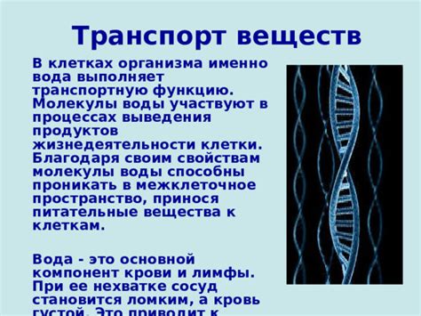 Роль воды в клетках, транспорт веществ