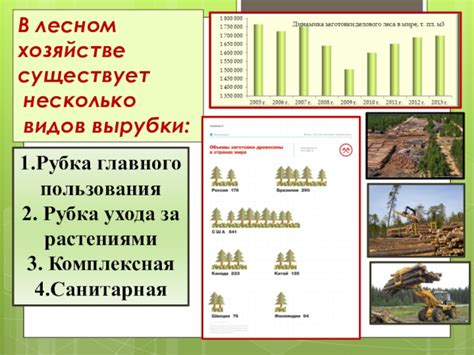 Роль вырубки леса в повышении уровня рек