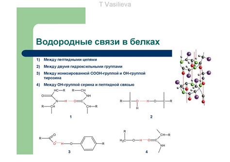 Роль в биологических системах