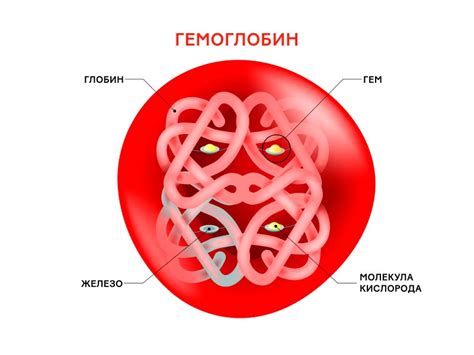 Роль гемоглобина в организме