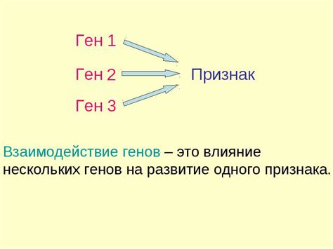 Роль генетики: влияние генов на формирование шкуры