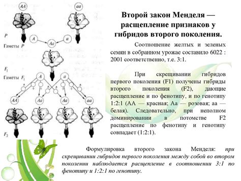 Роль генетики и селекции