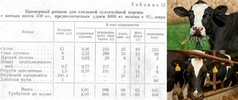 Роль генетических факторов в продуктивности коровы