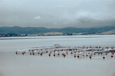 Роль географического расположения в нагреве воды в открытых водоемах