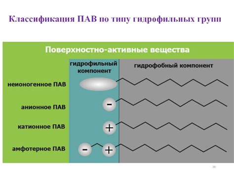 Роль гидрофильных групп