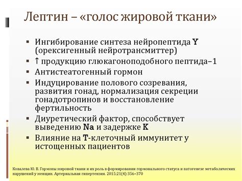 Роль гормонального фона в формировании сгустков эндометрия