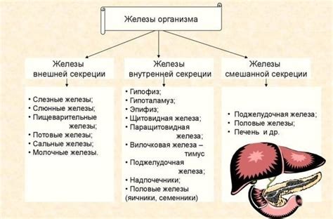 Роль гормонов: влияние на сигналы курицы