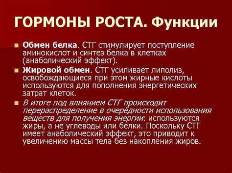 Роль гормонов в процессе роста волос