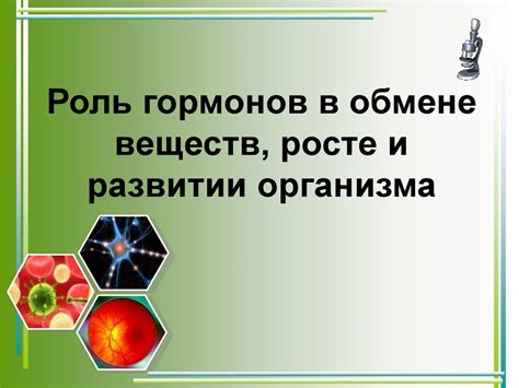 Роль гормонов в росте волос