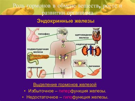 Роль гормонов в росте усов и бороды