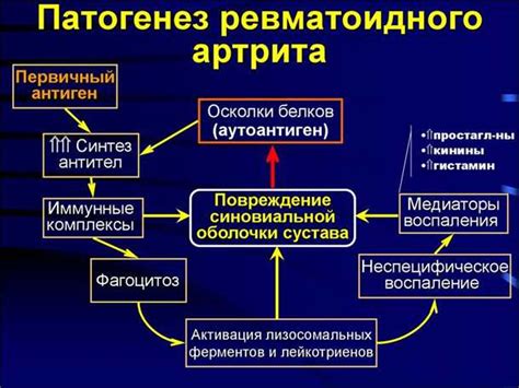 Роль гормонов и нейротрансмиттеров