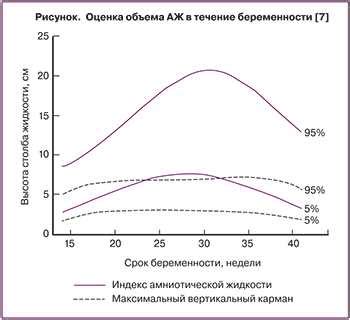 Роль гравитации и амниотической жидкости