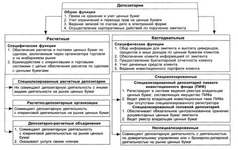 Роль дивидендов на рынке ценных бумаг