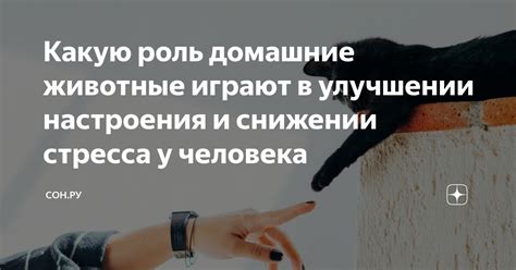 Роль зеленого цвета в снижении стресса и улучшении психического здоровья