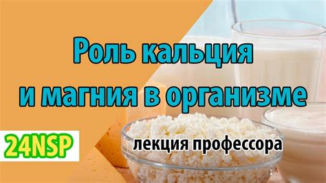 Роль кальция и магния в организме