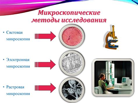 Роль кастрации в медицине