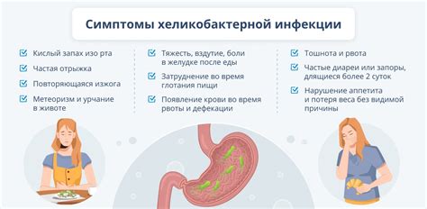 Роль кефира в лечении хеликобактер: преимущества и риски