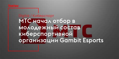 Роль киберспортивной организации в обществе