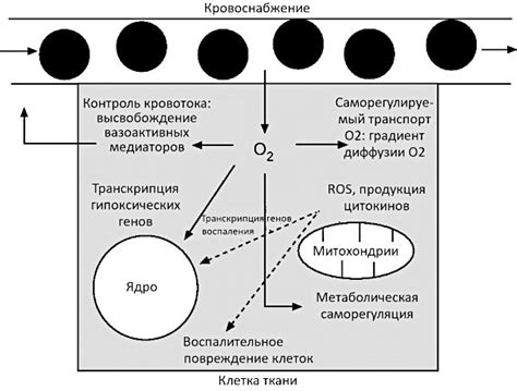 Роль кислорода в процессе кипения