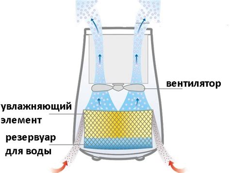 Роль клапана в работе увлажнителя воздуха