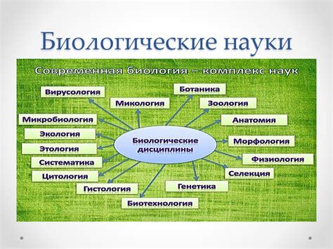 Роль классификации в биологии