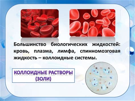 Роль коллоидных веществ в эволюции