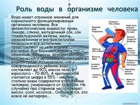 Роль кондиционера в образовании воды в отсеке