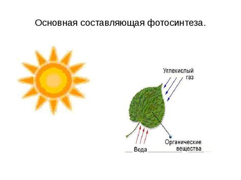 Роль крахмала в процессе варки