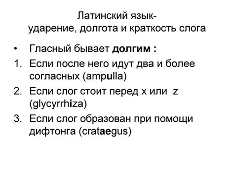 Роль латинского языка в образовании