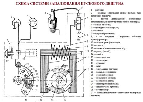 Роль магнето в кормовой системе муравья